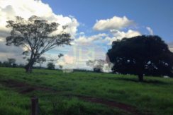 Fazenda – Venda – CRT/MG 3.576 Fazenda – Venda – CRT/MG 3.576